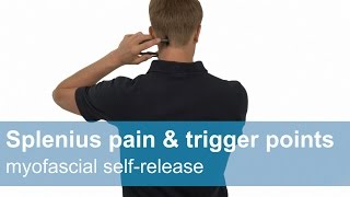 Splenius capitis and cervicis pain amp trigger points  Myofascial release [upl. by Ottillia]