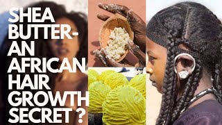 Shea Butter  African Hair Growth Secret The Origin Benefits Production  Natural Hair Use [upl. by Nwahsyd]