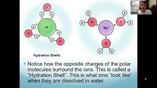 Intermolecular Forces [upl. by Laws]