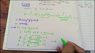 CV B 001 Classification of lipids part 1 made easy CVS module biochemistry lecture 1 [upl. by Aronoff]