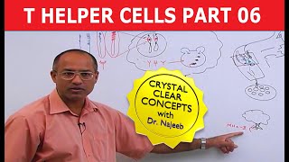 T Helper Cells  Immunology  Part 610 [upl. by Anees]