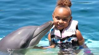 GIRL SWIMS WITH DOLPHIN  MARINE MAGIC  COFFS HARBOUR AUSTRALIA [upl. by Dnaltruoc]