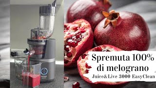 Spremuta di melograno  estrattore cecotec  JuiceampLive 3000 EasyClean [upl. by Normand]