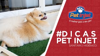 Dicas Pet Injet  Sanitário Higiênico Pet [upl. by Sert]