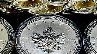 Low Mintage SILVER Coin From The Royal Canadian Mint [upl. by Eislel608]