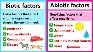 BIOTIC vs ABIOTIC  Whats the difference  Learn with examples [upl. by Web]