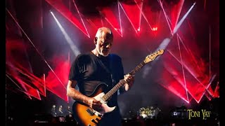 David Gilmour ❀ Comfortably Numb Solo ☆ Live Roma 2024 ☆ [upl. by Eceinaj]