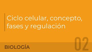 Ciclo celular concepto fases y regulación Eduardo López Vera [upl. by Cleaves]