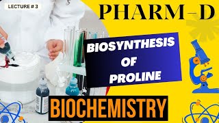 Biosynthesis Of Proline Biochemistry [upl. by Lachman]