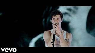 Shawn Mendes  Mercy  Shawn Mendes Live in Concert  part 1 [upl. by Heurlin403]