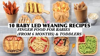 10 BABY LED WEANING RECIPES  FINGER FOOD FOR BABIES FROM 6 MONTHS amp TODDLERS  BLW 6 MONTHS RECIPES [upl. by Couhp]