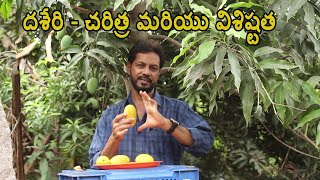 దశేరి  చరిత్ర మరియు విశిష్టత  Dasheri Mangoes History  Dasheri Importance amp Significance [upl. by Notsob]