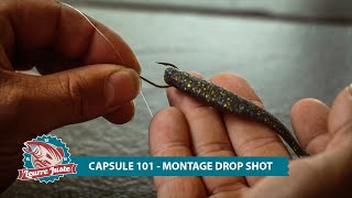 Capsule 101  Montage drop shot pour le doré [upl. by Nojid690]