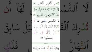 DO YOU KNOW THIS IS THE 41th SURAH REVEALED BY ALLAH ♥️beautiful surah recitation [upl. by Glasgo185]