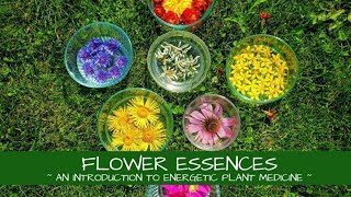 Flower Essences  An Introduction [upl. by Pascia]