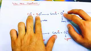 Role of water in photosynthesisBioenergetics chapter class 11Bioenergetics class11 [upl. by Nahtahoj]