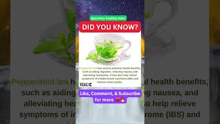 Surprising Benefits of Peppermint Tea for Digestion Nausea Headaches and More 🧐🔥 shorts [upl. by Enneyehs226]