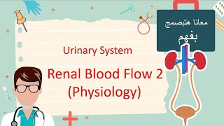 Renal blood Flow PART 2  Physiology هتفهم كل كلمة [upl. by Notxed316]