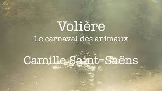 Volière Le carnaval des animauxCamille SaintSaëns [upl. by Effy]