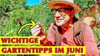 Der SelbstversorgerGarten im Juni Mit Hühnern Puten Hochbeeten und vielen Gartentipps [upl. by Neelram834]