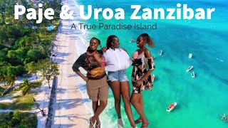 Episode 7  The Ultimate Road Trip To SouthEast Zanzibar  Paje Beach amp Uroa Beach [upl. by Oag]