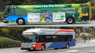 SamTrans 1016 on Route 130 901 on Route ECR 1008 on Route 130 B at South San Francisco BART [upl. by Karas604]