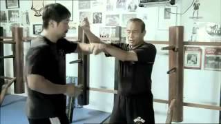 Tracing the Legacy  From Ip Man to Bruce Lee [upl. by Tracy]