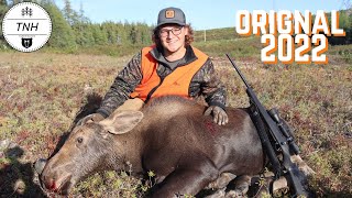 Chasse à lorignal 2022  Moose Hunting 2022  TruNorth Hunters [upl. by Rima]