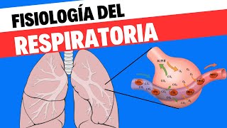 Fisiología respiratoria [upl. by Yecnahc]