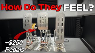 I Bought the Cheapest quotPremiumquot Sim Racing Pedals  Part 1 [upl. by Naujd]