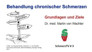 Behandlung chronischer Schmerzen  Grundlagen und Ziele [upl. by Dominica]