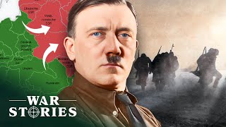 Operation Barbarossa The Invasion That Doomed Nazi Germany  How The Nazis Lost  War Stories [upl. by Nnybor]