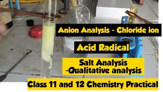 Analysis of Chloride Ion  Confirmatory test of Cholride Ion  Acid Radical Analysis [upl. by Ennairb912]