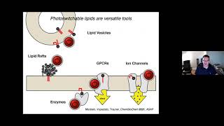 Optical control of Sphingosine1phosphate formation and function  Mar 22 2021 [upl. by Munt]