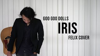 Goo Goo Dolls  Iris Felix Cover [upl. by Haberman]