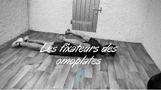 6 MEILLEURS EXERCICES DES FIXATEURS DES OMOPLATES SANS MATÉRIEL DE MUSCULATION [upl. by Edrahs752]