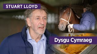 Fish Chips a Cheffylau  Hanes Stuart Lloyd  Y Sioe Frenhinol 2024 S4C Dysgu Cymraeg [upl. by Sirrot]