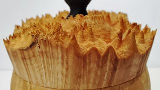 Woodturning  Maple Burl Box [upl. by Willdon]