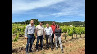 À la rencontre de Rémy vigneron de Carnoules  passion et savoirfaire au cœur des vignes [upl. by Dolly]