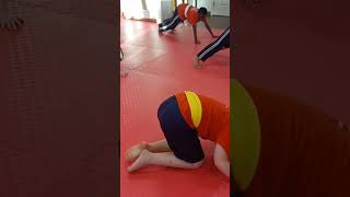 2 minutes of clasping planks verobeach martialarts exercise [upl. by Esserac]