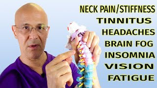 This Neck Technique Can Change Your LifeNeck Pain Tinnitus Headaches Brain Fog Dr Mandell [upl. by Clite]