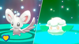 HOW TO GET Cottonee in Pokémon Sword and Shield [upl. by Pool149]