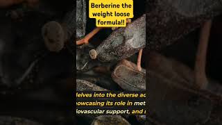 Berberine The Ultimate Health Booster You Need to Know About berberine healthyliving fitness [upl. by Eleumas]