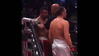 When MMA Fighter Meets Pro Boxer Kubrat Pulev Left Unconscious Frank Mir shorts boxing knockout [upl. by Yenohtna]