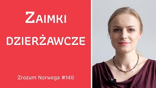 👩‍🏫👉 Zaimki dzierżawcze  Zrozum Norwega 148 [upl. by Dud]