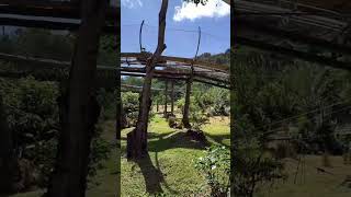 Mauritius trip  Roller coasters Rides [upl. by Weinreb775]