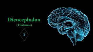 Introduction of diencephalon and thalamus Prof Ashfaqur Rahman [upl. by Shute]