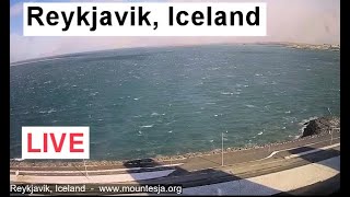 Reykjavik Iceland LIVE [upl. by Eadahc]