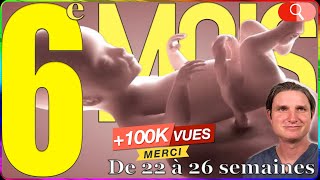 6 MOIS de GROSSESSE comment est le bébé  Symptômes [upl. by Leon]