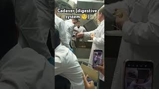 MBBS students 🩺ft1st year digestive system 🤩 mbbs russia mordovia saransk [upl. by Amo]